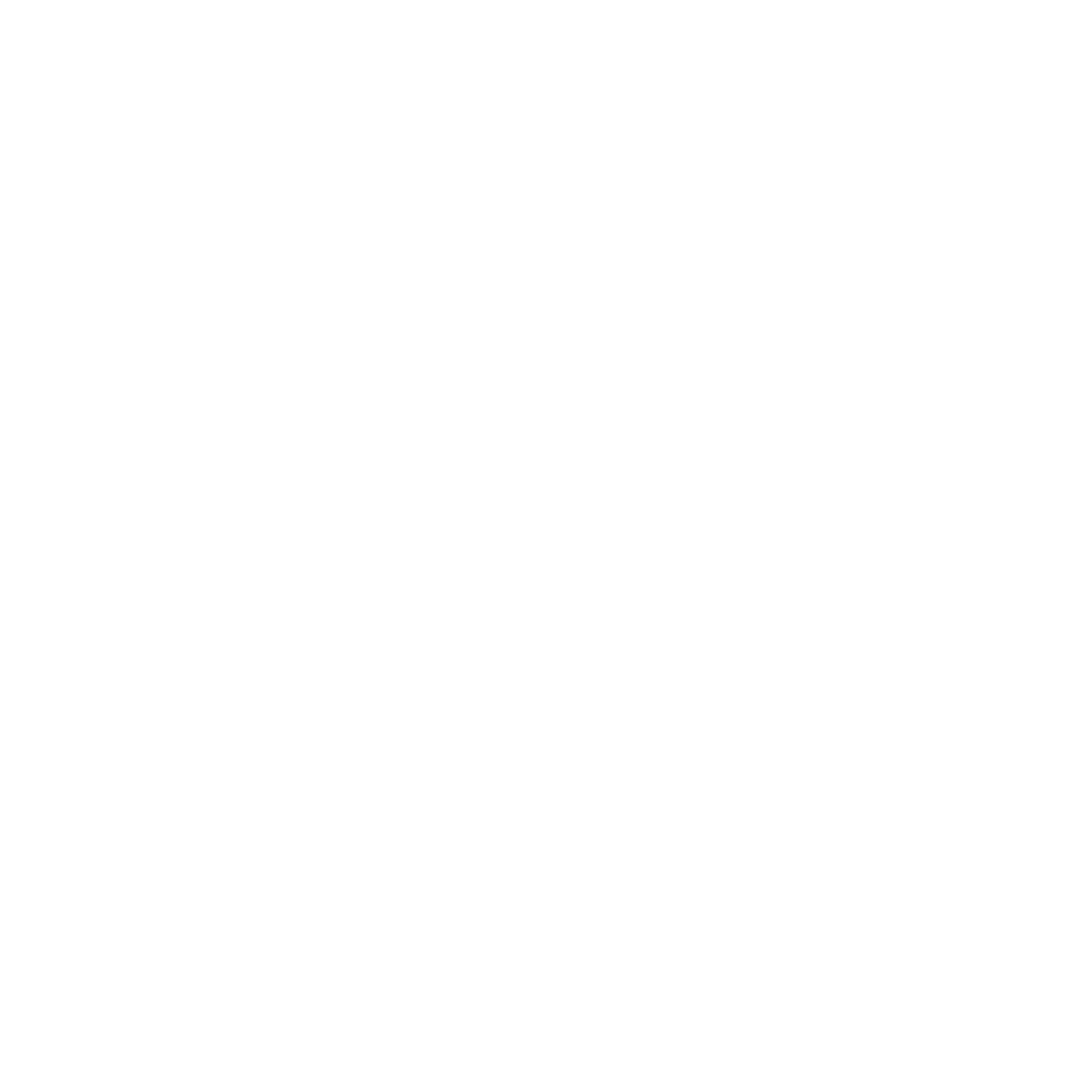 Facebook Icon White