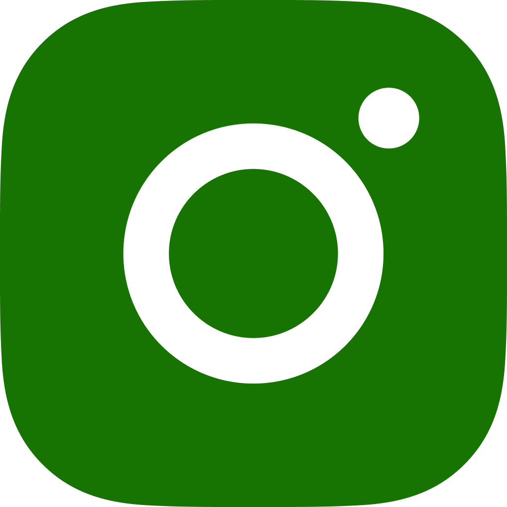 Instagram Icon Green